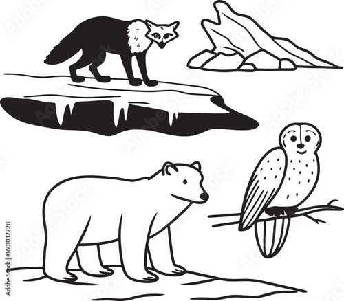 polar bear set