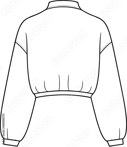 Back view cropped sweatshirt, fashion cad drawing, technical flat sketch, long sleeve topwear design, vector illustration for apparel design