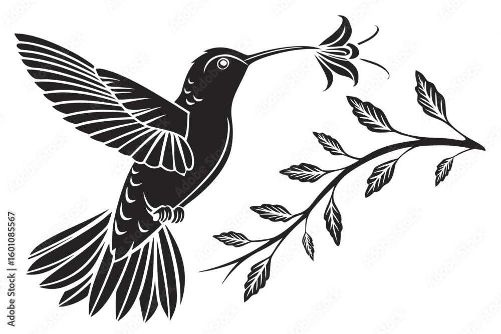 Obraz premium hummingbird logo black vector