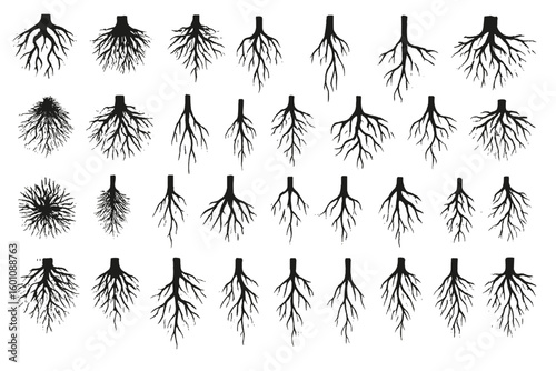 Set of 26 plant root system vector illustrations. Black and white botanical icons showing underground growth. Nature, science, and biology concept design elements collection.