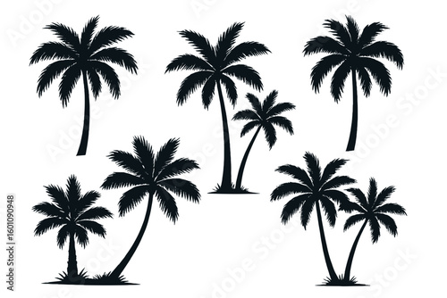 Set of black palm tree silhouettes. Tropical exotic plant for summer vacation and travel design. Vector illustration of coconut trees isolated on white background for beach party.