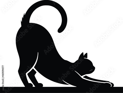 Graceful black cat stretching its body in a classic yoga pose silhouette