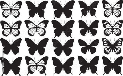 Black butterflies with detailed wings and solid silhouettes butterfly white