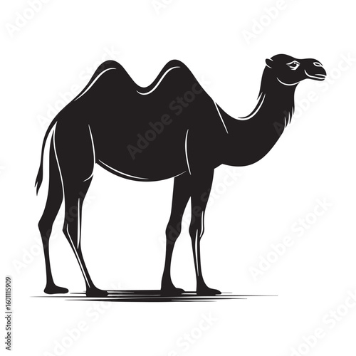 Black Camel Silhouette Icon on White Background