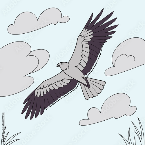 vector illustration of a flying bird