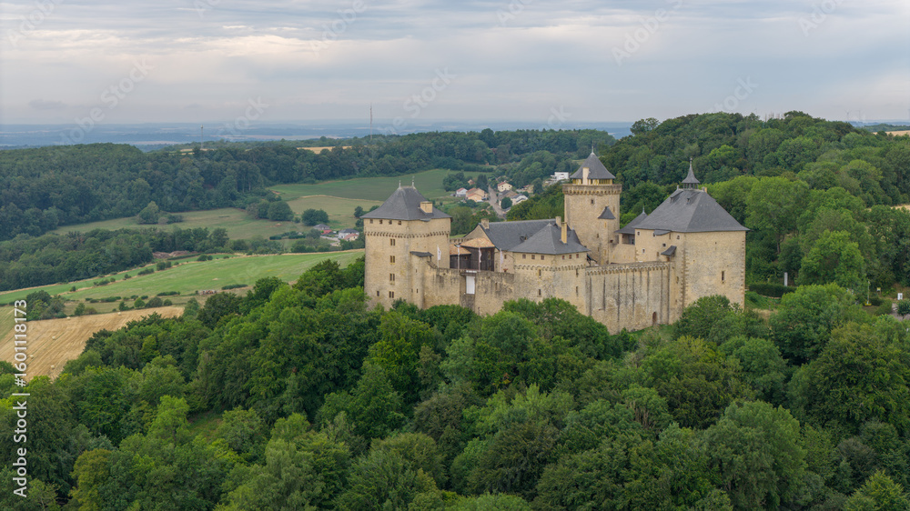 Fototapeta premium Le château de Malbrouck, sur les hauteurs du village de Manderen en Moselle, région Lorraine
