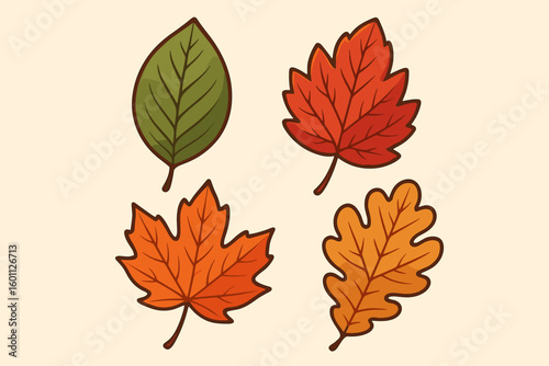 Autumn leaves vector collection. Set of colorful fall leaf icons. Bundle of decorative foliage graphic design elements. Maple and oak tree leaves illustration for nature themes.