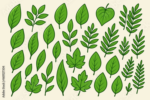 Green leaves big vector collection. Set of graphical elements with various leaf designs in different shapes. Cartoon illustration for nature, eco, bio and organic concepts.
