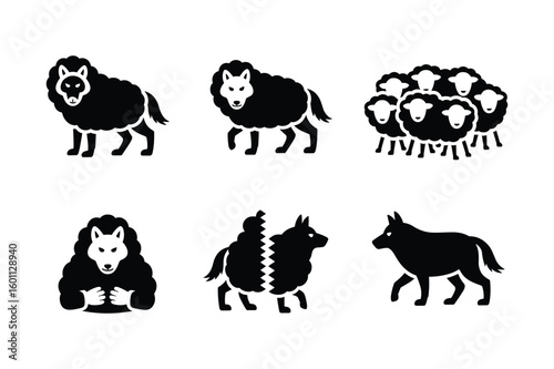 Black sheep wolf disguise and flock white