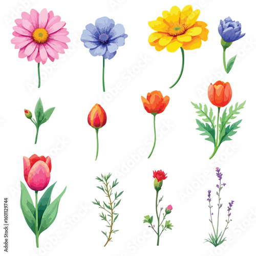 Vibrant watercolor floral collection brings nature's beauty to your designs