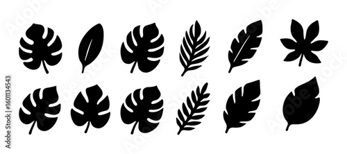 Silhouette set of tropical leaves for creative designs