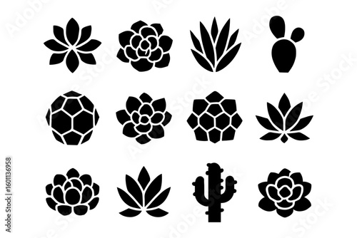 Black silhouette succulent icons set featuring various cacti and desert plants