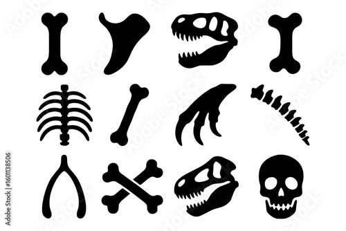 Dinosaur skeleton silhouettes set featuring skulls and bones