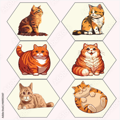 pet cat vector set