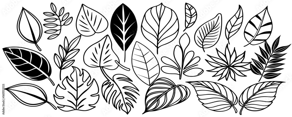 Fototapeta premium Collection of Hand-Drawn Black and White Leaves