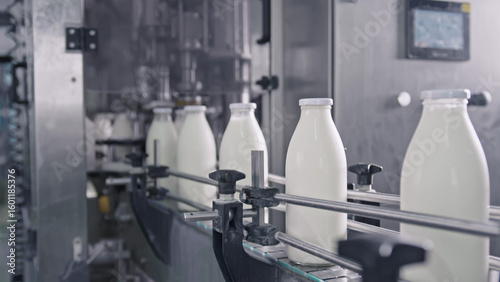 Milk bottles moving on conveyor belt in dairy