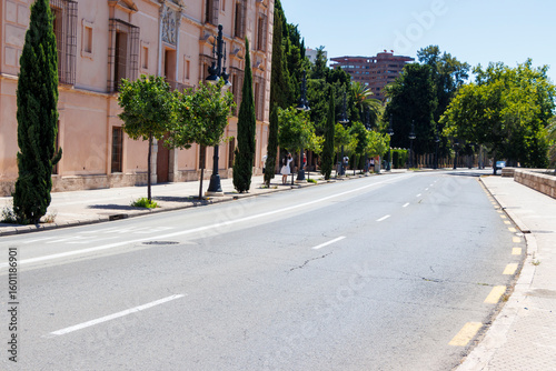 Quiet street captured in Alicante, featuring lush green trees and a historic building. A peaceful summer day highlights the beauty of urban architecture.