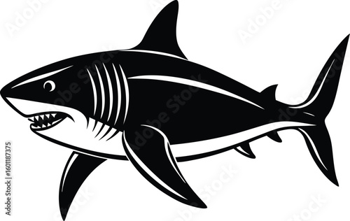 Vector art of a black and white shark with sharp teeth is isolated on a white background illustrated in vector art