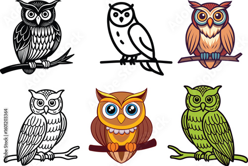 owl bundle vector Collection of six stylised illustrations of different owl species perched on branches, 