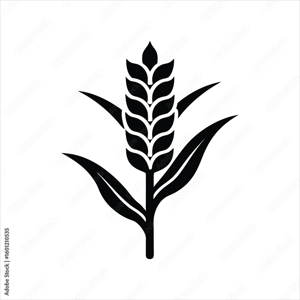Fototapeta premium Agriculture Sorghum Clipart for Botanical Use
