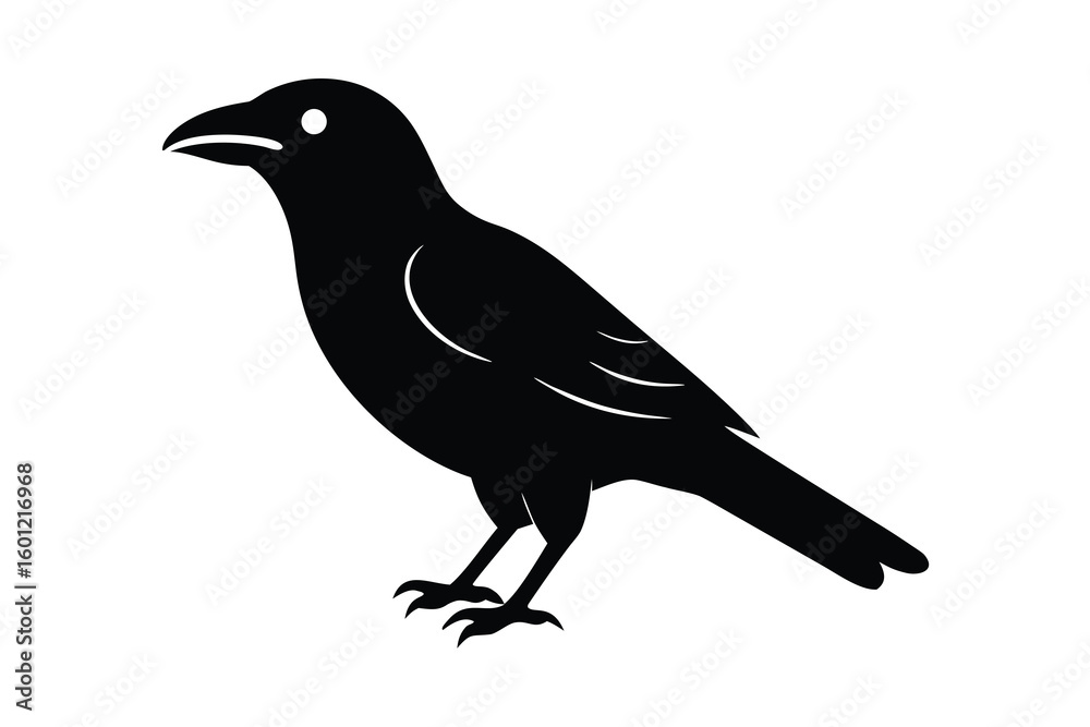 Obraz premium crow vector icon