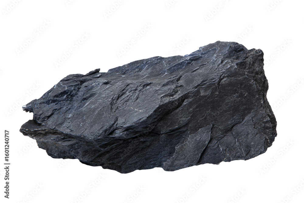 Fototapeta premium a rock with a bird perched on it