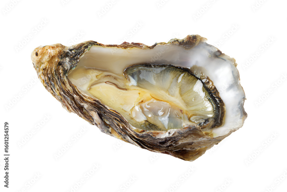Naklejka premium a close up of a oyster with a white background