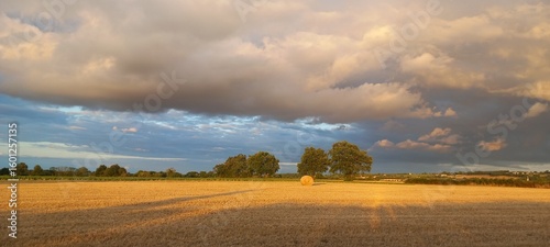 Soir d'orage sur champ dans les Mauges