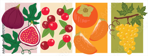 Set of Four Vector Illustrated Autumn Fruit Posters – Figs, Raspberries, Persimmons, and Grapes