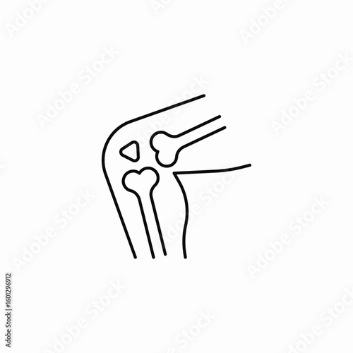knee joint anatomy icon sign vector