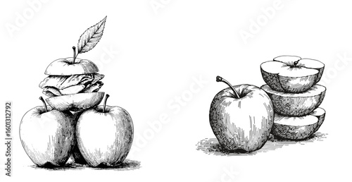 Vintage close-up sketch in black pen on white background of layered baked apples
