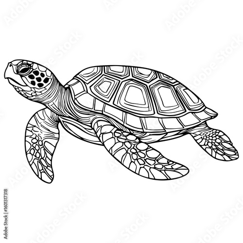 Cute sea turtle with detailed shell and flippers