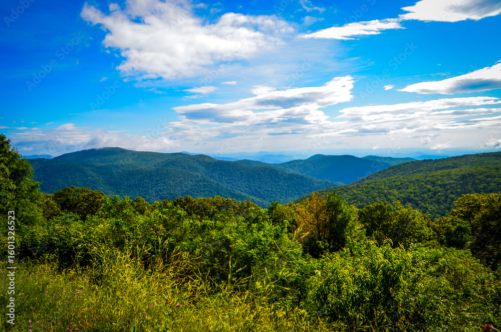 Fototapeta premium Views of Shenandoah National Park