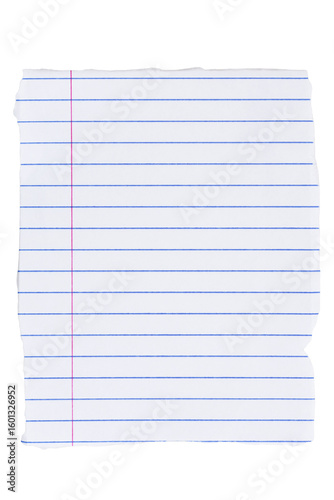 Lined loose leaf notebook paper ripped rectangle isolated on white