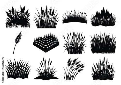 Collection of grass silhouettes isolated on white background