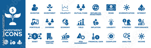 Investment icon set. investment icons, investor, portfolio, asset, venture capital, dividend, investment, volatility, economy, stock, risk management, yield, mutual fund icons. Solid icon collection.