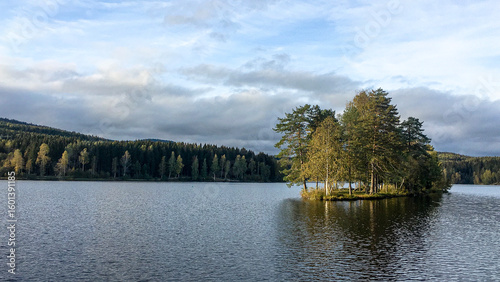 lake and forest