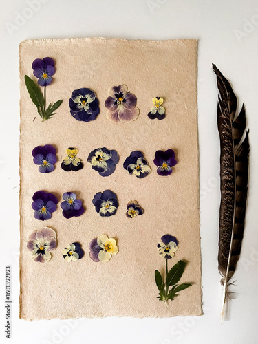 old paper with feather