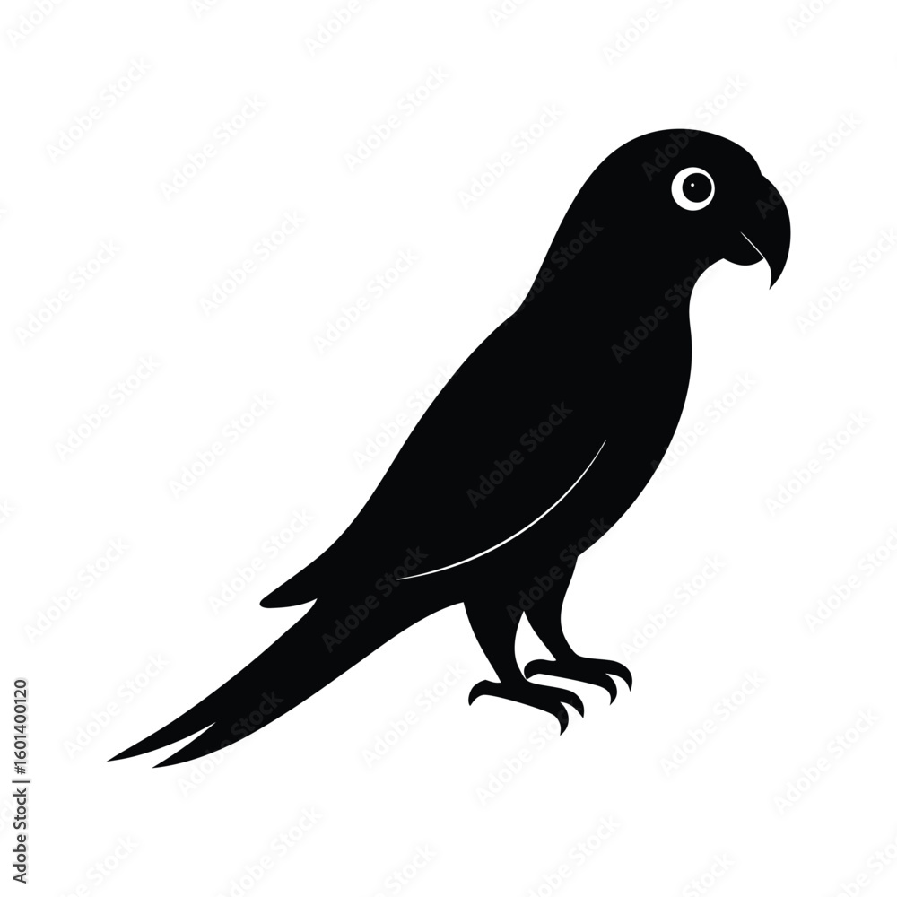 Fototapeta premium vector illustration of a bird