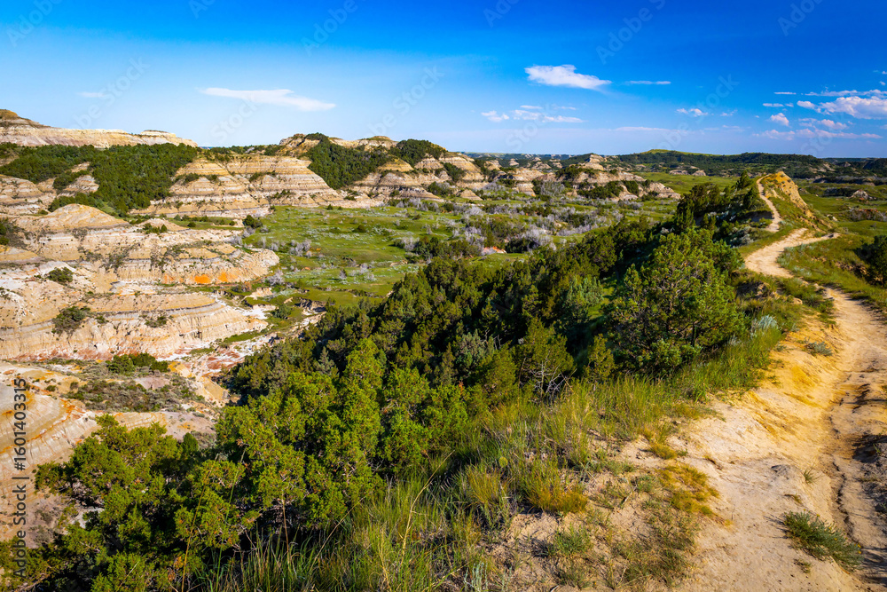 Obraz premium Boicourt Overlook Canyons Aerial View