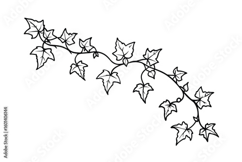 Hand Drawn Ivy Climbing Up
