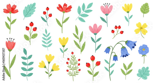 Collection of Hand-Drawn Floral Elements: Vibrant Flowers Berries and Leaves.