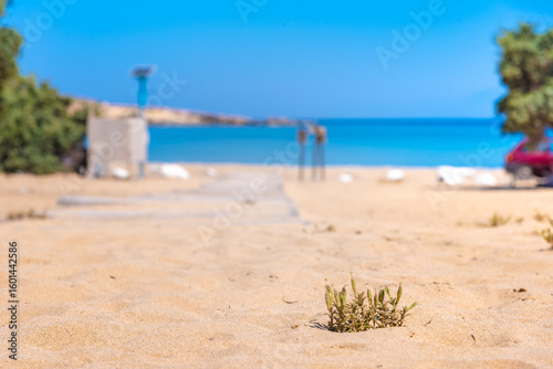 Fototapeta Naklejka Na Ścianę i Meble -  The tropical and scenic nudist beach of Sarakiniko on Gavdos island, Greece.