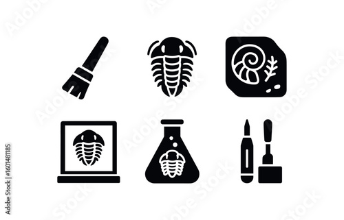 solid icon isolated fossil ecavation bsh fossil trilobite specimen fossil imprint slab fossil display case fossil dating acid vial fossil preparation kit