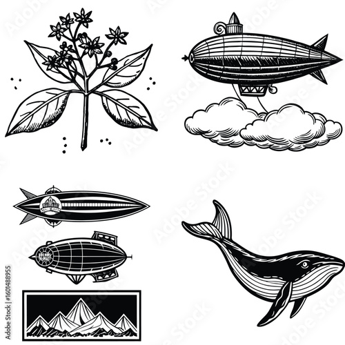 Vector art of a collection of four distinct black and white illustrations featuring three airplanes a palm tree a group of african animals and a flowering plant