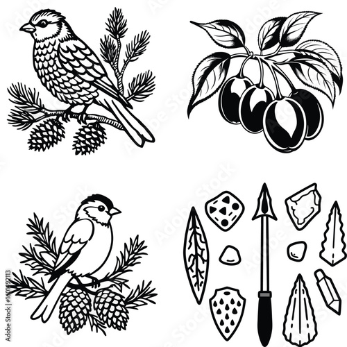 Vector art of a set of naturalistic illustrations featuring birds on branches with pinecones plums on a branch and primitive arrowheads isolated on white background