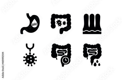solid icon isolated gastrointestinal infection stomach acid pH gradient gastrointestinal infection gut microbiota dysbiosis inde gastrointestinal infection intestinal crypt hyperplasia