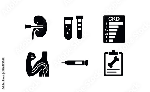 solid icon isolated chronic kidney disease kidney biopsy core needle chronic kidney disease proteinuria dipstick test chronic kidney disease CKD staging guide chart chronic kidney disease