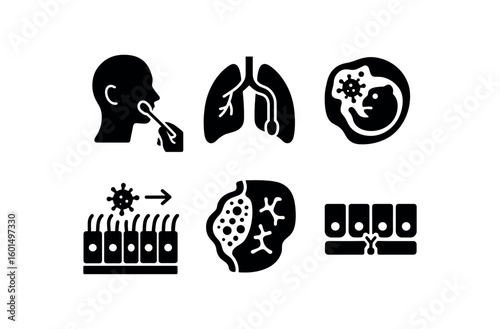 solid icon isolated respiratory tract infection nasopharyngeal swab sample respiratory tract infection bronchoalveolar lavage fluid respiratory tract infection alveolar macrophage response