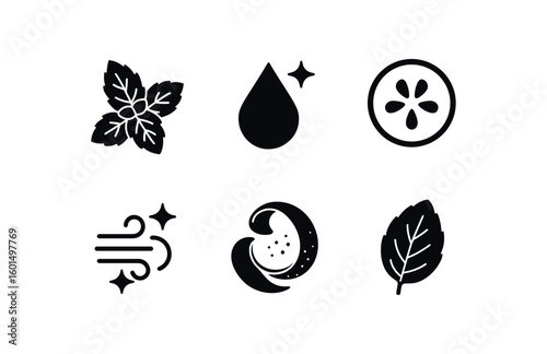 solid icon isolated freshness mint sprig freshness morning dew freshness cucumber slice freshness sea breeze freshness lime zest freshness basil leaf